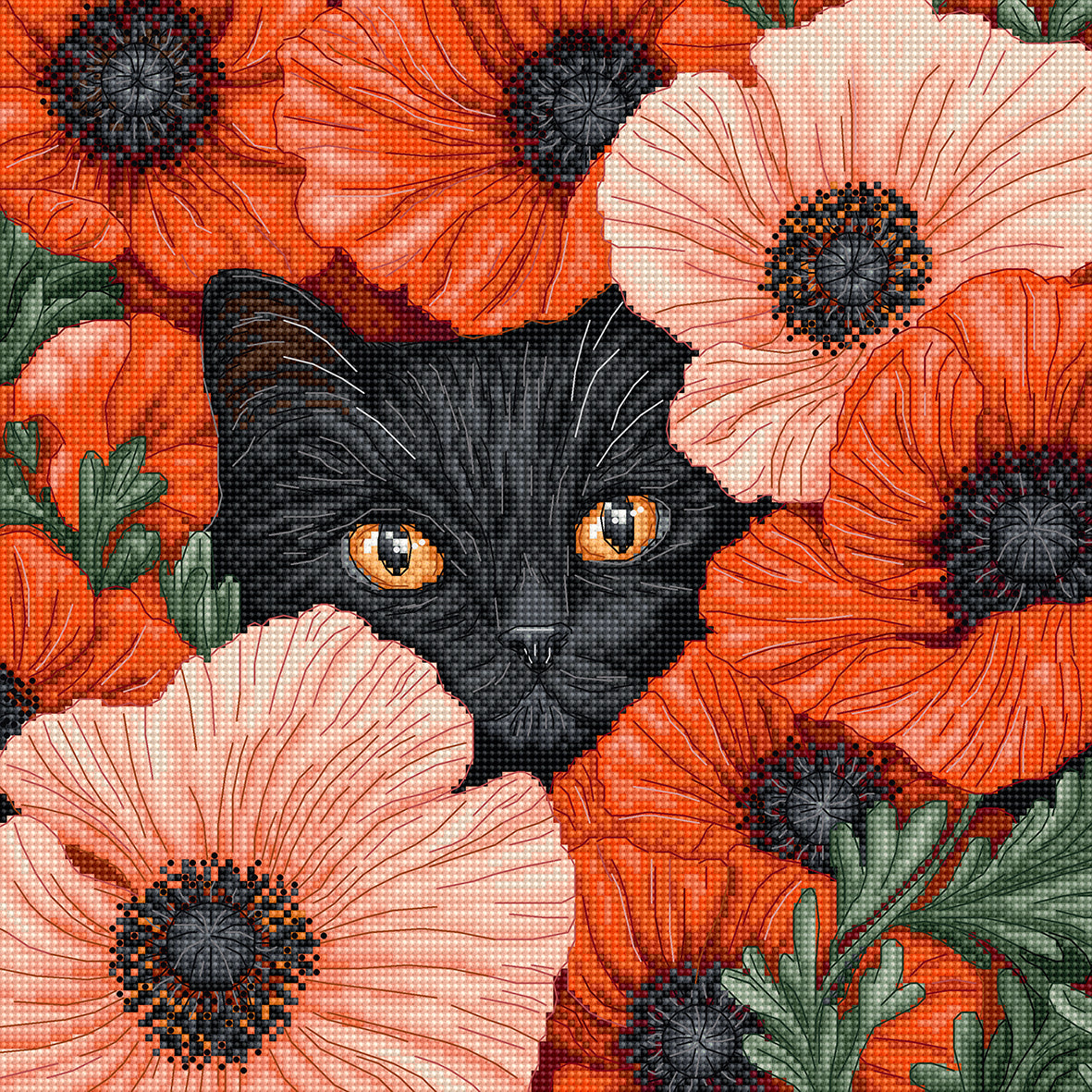 L9949 Poppy Eyes
